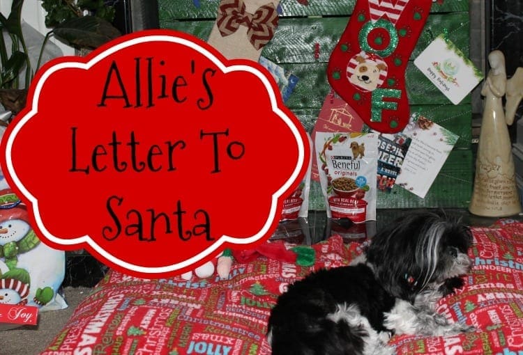 Allie’s Letter To Santa