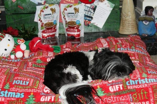 allies-letter-to-santa