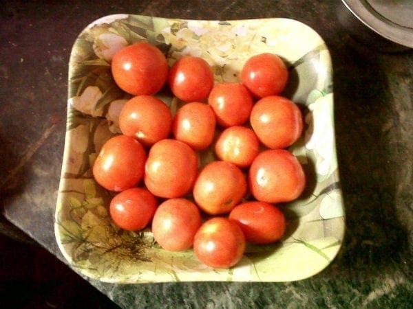 tomatoes