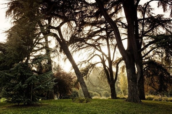 central park