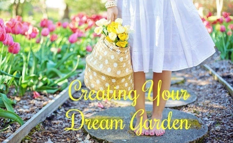 Creating Your Dream Garden