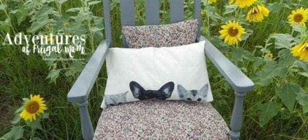 Pillows on Thrift Chair