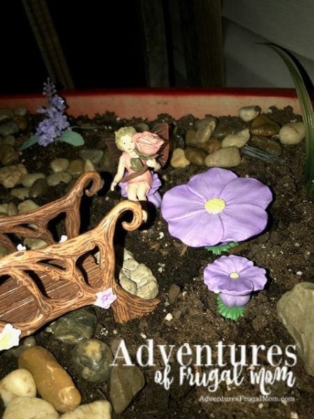 Fairy Garden