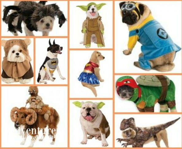 Allie's Corner: Pet Halloween Costumes by North Carolina lifestyle blogger Adventures of Frugal Mom