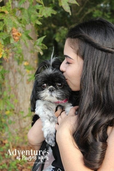 Allie Loves Her Fancy Dog Collar by North Carolina lifestyle blogger Adventures of Frugal Mom