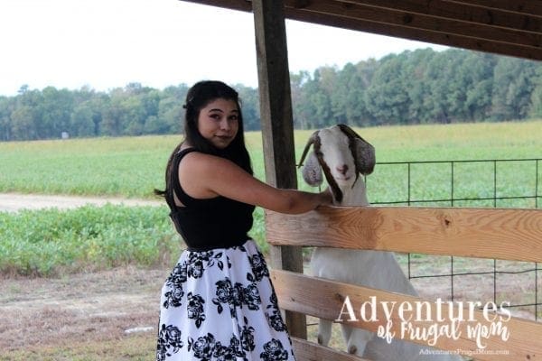 Cinderella Goes to her Homecoming Dance by North Carolina lifestyle blogger Adventures of Frugal Mom
