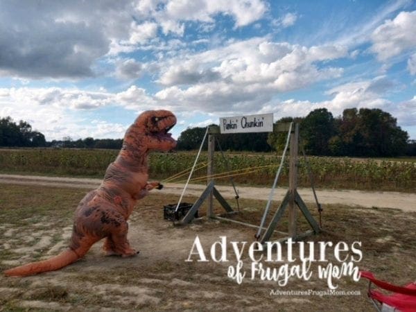  Allie Teaches Sharing is Caring by North Carolina lifestyle blogger Adventures of Frugal Mom