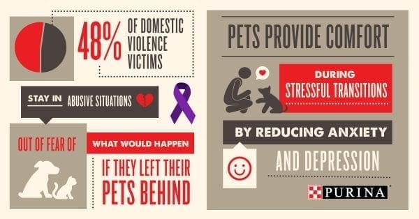 Allie's Corner: URIPALS Fights Against Pets and Domestic Violence by North Carolina lifestyle blogger Adventures of Frugal Mom