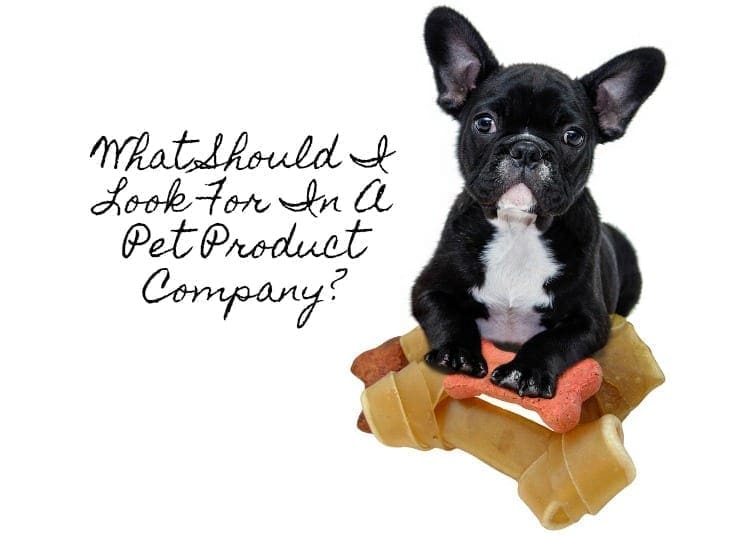 What Should I Look For In A Pet Product Company?