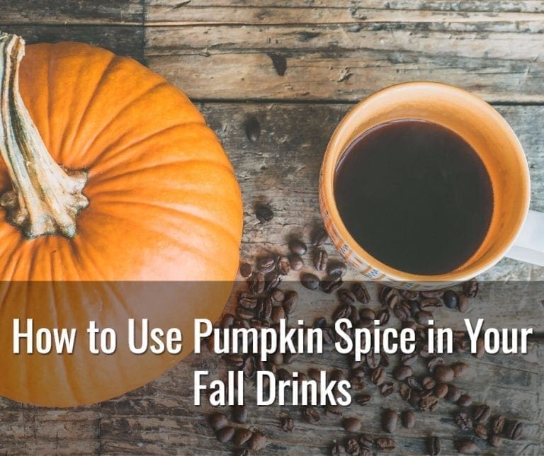 4 Delicious Fall Drink Recipes with Pumpkin Spice