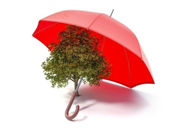 Environmental Awareness for Beginners by North Carolina Lifestyle Blogger Adventures of Frugal Mom