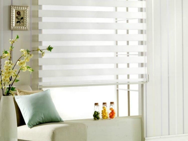 Top 8 Reasons to Go for Zebra Sheer Shades