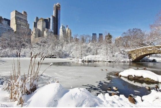 Why You Need to Visit NYC This Winter From North Carolina Lifestyle Blogger Adventures of Frugal Mom