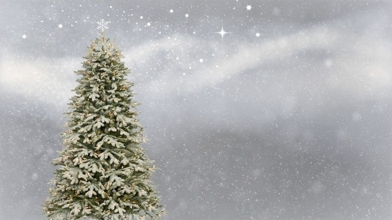 Five Tips for a Stress Free Christmas