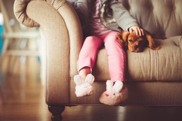 How to Keep Your Home Clean and Dog-Friendly from North Carolina Lifestyle Blogger Adventures of Frugal Mom