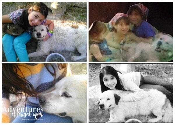 Giving Back Pet Adoption by North Carolina Lifestyle Blogger Adventures of Frugal Mom