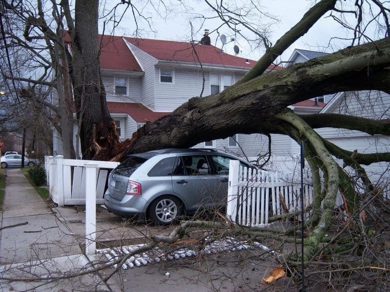What to do When Storm Damage Occurs
