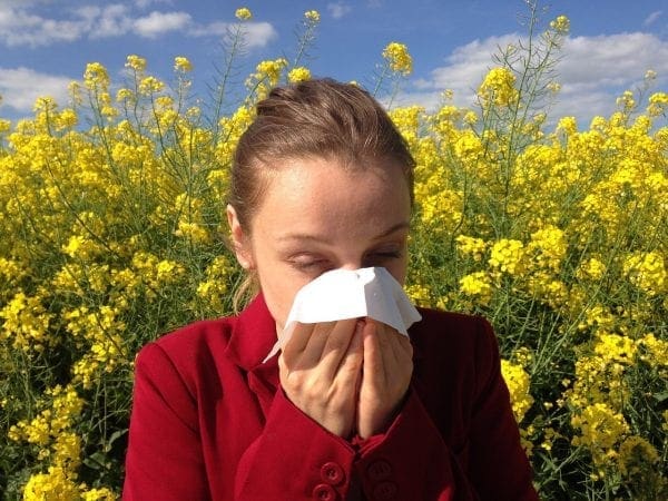 7 Ways to Allergy Proof Your Home from North Carolina Lifestyle Blogger Adventures of Frugal Mom