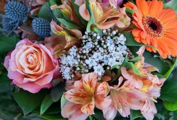 Tips To Choose The Best Online Flower Delivery Services from North Carolina Lifestyle Blogger Adventures of Frugal Mom