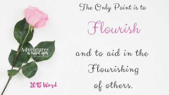 Finally My Word for the Year Flourish from North Carolina Lifestyle Blogger Adventures of Frugal Mom