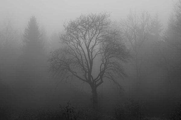How To Pull Your Loved One Out Of A Dark Place from North Carolina Lifestyle Blogger Adventures of Frugal Mom