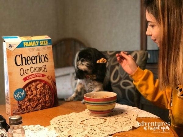 Nobody Does It, Like Cheerios from North Carolina Lifestyle Blogger Adventures of Frugal Mom