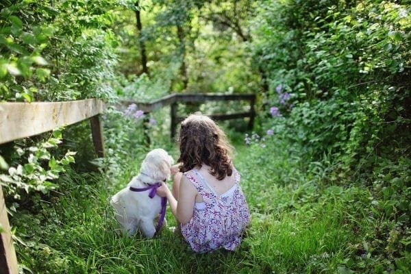 Tips For Making Your Lawn And Yard Pet Friendly from North Carolina Lifestyle Blogger Adventures of Frugal Mom