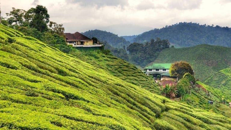 How to Find The Perfect Malaysian Property For Sale