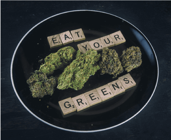 The Pros and Cons of Pet-Edible CBD for Their Anxiety from North Carolina Lifestyle Blogger Adventures of Frugal Mom