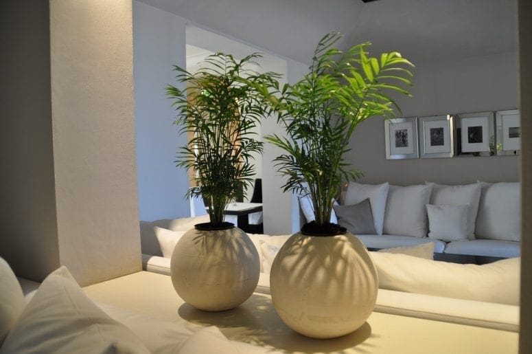 5 Ideas for Budget-Friendly but Elegant Home Décor from North Carolina Lifestyle Blogger Adventures of Frugal Mom