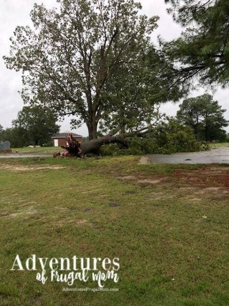 Biz Helps Me Give Back After Hurricane Florence from North Carolina Lifestyle Blogger Adventures of Frugal Mom