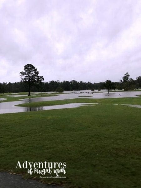 Biz Helps Me Give Back After Hurricane Florence from North Carolina Lifestyle Blogger Adventures of Frugal Mom
