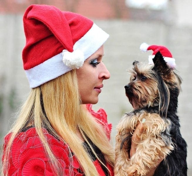 How to Share Your Holiday Feast with Your Pet from North Carolina Lifestyle Blogger Adventures of Frugal Mom