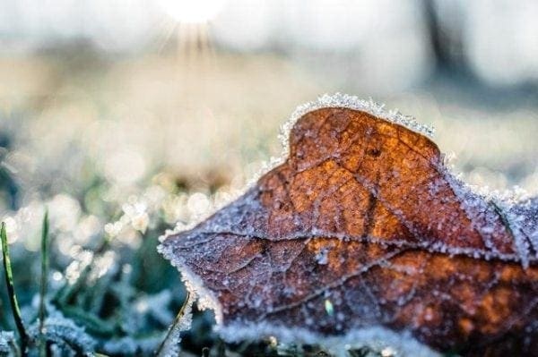 The Smart Ways To Prep Your Outdoor Spaces for Winter from North Carolina Lifestyle Blogger Adventures of Frugal Mom