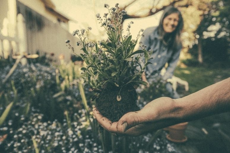 Gardening On A Budget- 7 Frugal Tips You Have To Try This Spring from North Carolina Lifestyle Blogger Adventures of Frugal Mom