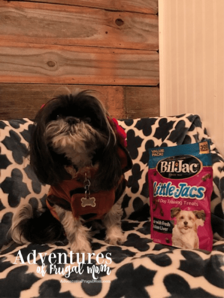 Allie's Love Language is Written in Treats from North Carolina Lifestyle Blogger Adventures of Frugal Mom
