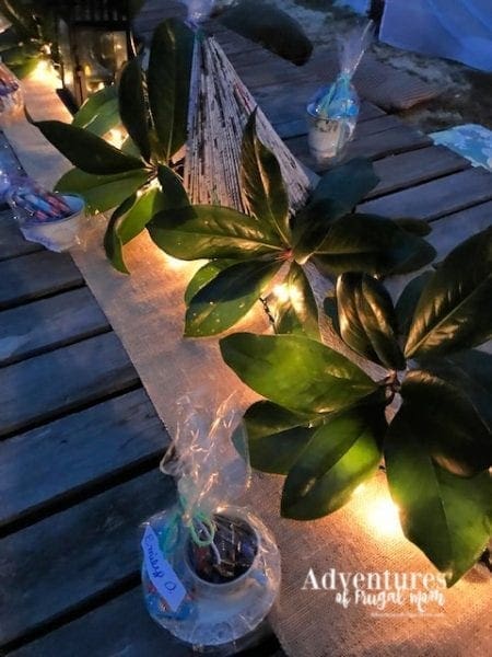 Unique Party Favors for the Big Blog Cabin Reveal from North Carolina Lifestyle Blogger Adventures of Frugal Mom