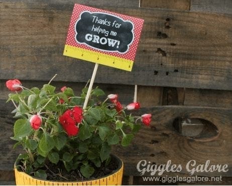  Ways to Say Thank You to the Teacher in Your Life from North Carolina Lifestyle Blogger Adventures of Frugal Mom