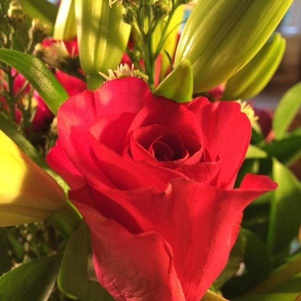 Remembering My Sister on World Cancer Day from North Carolina Lifestyle Blogger Adventures of Frugal Mom