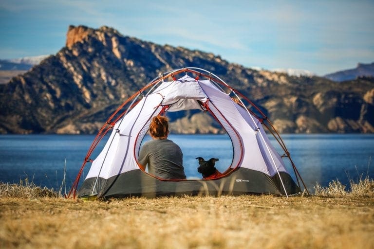 9 Expert Tips For Camping With Dogs