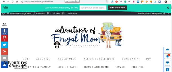 Newsletters Are Not My Thing from North Carolina Lifestyle Blogger Adventures of Frugal Mom