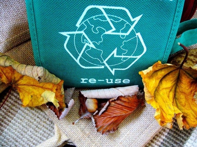 7 Helpful Recycling Tips for Beginners