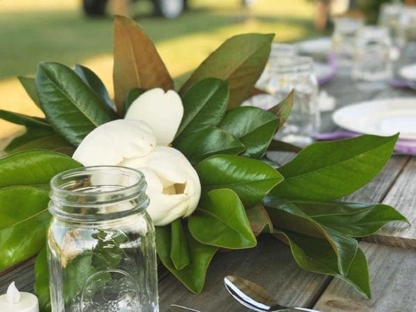 Girl's Night Out on the Farm from North Carolina Lifestyle Blogger Adventures of Frugal Mom