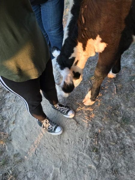 Girl's Night Out on the Farm from North Carolina Lifestyle Blogger Adventures of Frugal Mom 