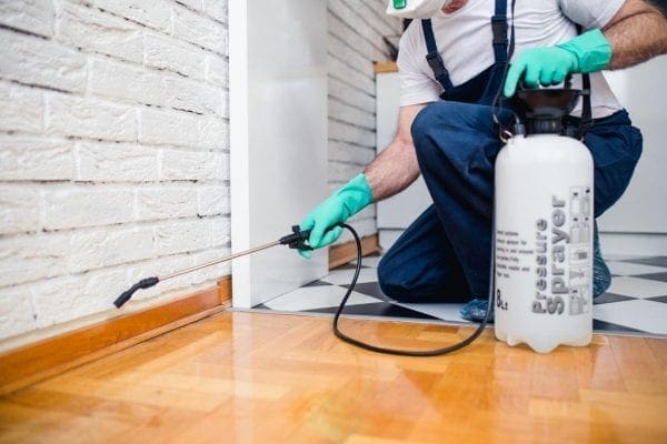 Pest Be Gone! Cheap Ways to Keep Your Home Critter-Free from North Carolina Lifestyle Blogger Adventures of Frugal Mom