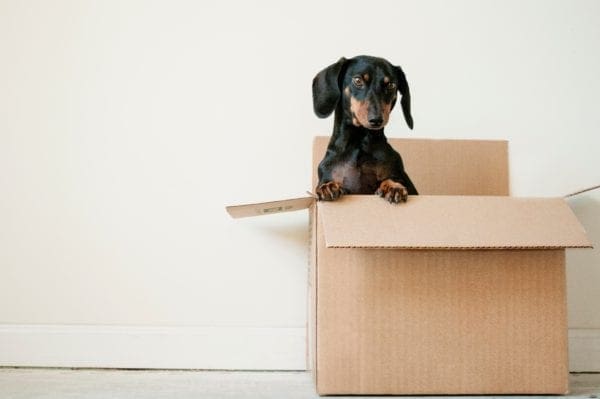 What Are 6 Things That Change a Good Moving Company to a Great Moving Company from North Carolina Lifestyle Blogger Adventures of Frugal Mom