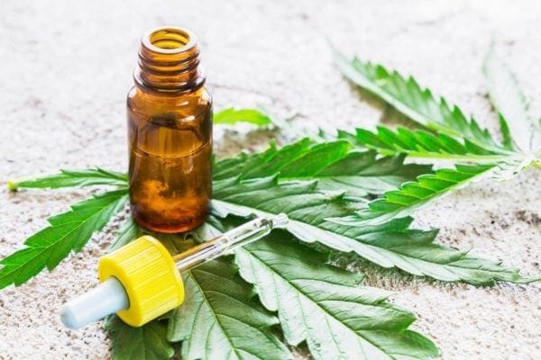 In What Way Is CBD Beneficial For Pets from North Carolina Lifestyle Blogger Adventures of Frugal Mom