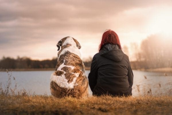 Could A Pet Dog Transform Your Life Here’s How from North Carolina Lifestyle Blogger Adventures of Frugal Mom