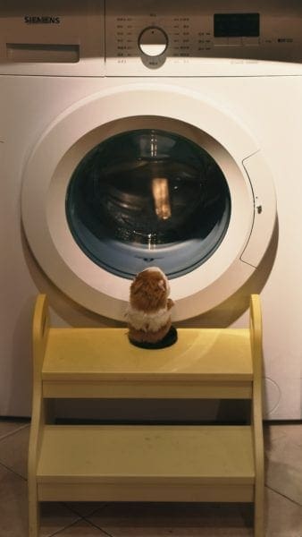 Making Your Dryer Run More Effectively from North Carolina Lifestyle Blogger Adventures of Frugal Mom.