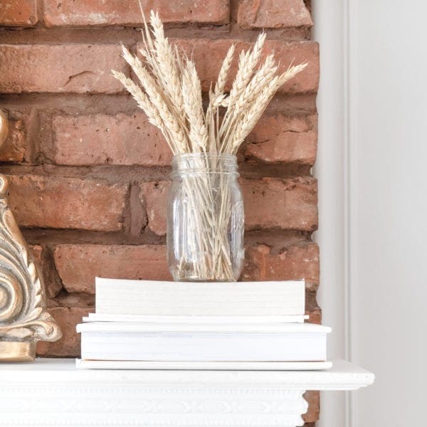 Abundance - My Word for the Year 2020 from North Carolina Lifestyle Blogger Adventures of Frugal Mom